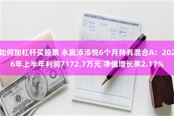 如何加杠杆买股票 永赢添添悦6个月持有混合A：2026年上半年利润7172.7万元 净值增长率2.17%