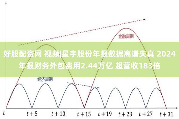 好股配资网 视频|星宇股份年报数据离谱失真 2024年报财务外包费用2.44万亿 超营收183倍