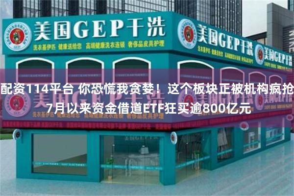 配资114平台 你恐慌我贪婪!这个板块正被机构疯抢 7月以来资金借道ETF狂买逾800亿元
