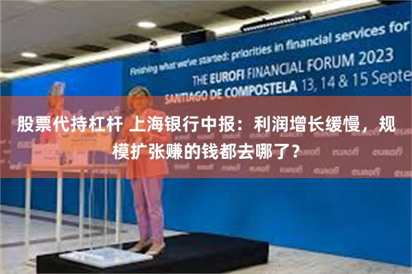 股票代持杠杆 上海银行中报：利润增长缓慢，规模扩张赚的钱都去哪了？