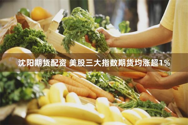 沈阳期货配资 美股三大指数期货均涨超1%