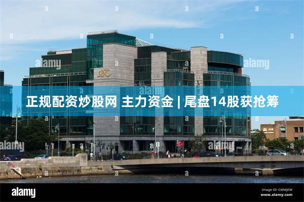 正规配资炒股网 主力资金 | 尾盘14股获抢筹