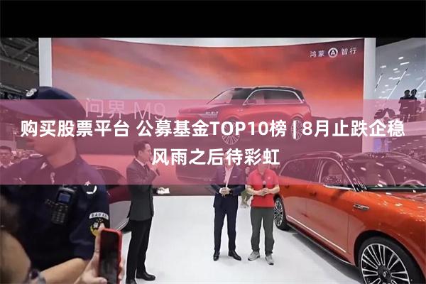 购买股票平台 公募基金TOP10榜 | 8月止跌企稳 风雨之后待彩虹