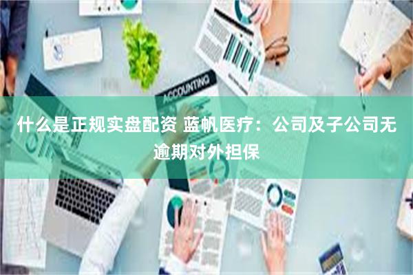 什么是正规实盘配资 蓝帆医疗：公司及子公司无逾期对外担保