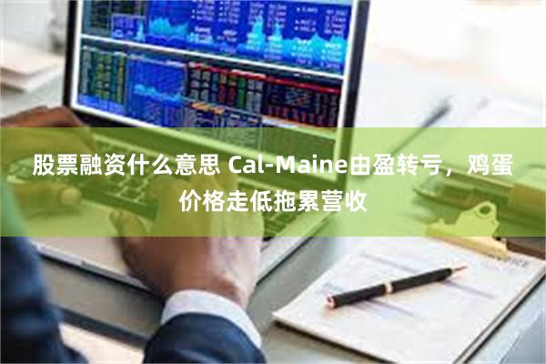 股票融资什么意思 Cal-Maine由盈转亏，鸡蛋价格走低拖累营收