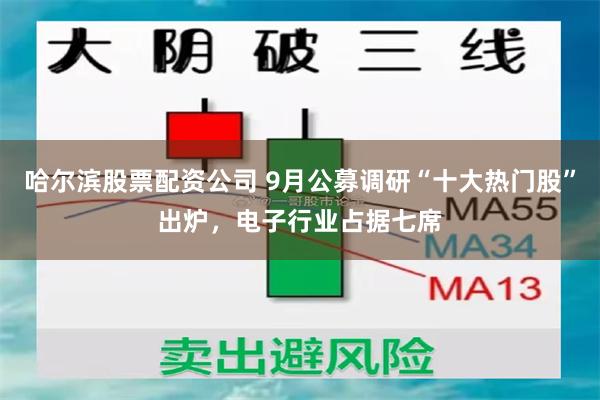 哈尔滨股票配资公司 9月公募调研“十大热门股”出炉，电子行业占据七席