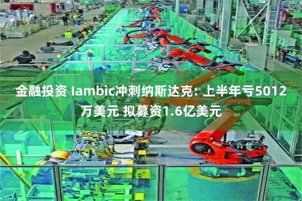 金融投资 Iambic冲刺纳斯达克: 上半年亏5012万美元 拟募资1.6亿美元