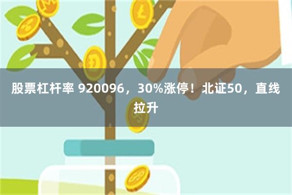 股票杠杆率 920096，30%涨停！北证50，直线拉升