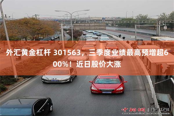 外汇黄金杠杆 301563，三季度业绩最高预增超600%！近日股价大涨